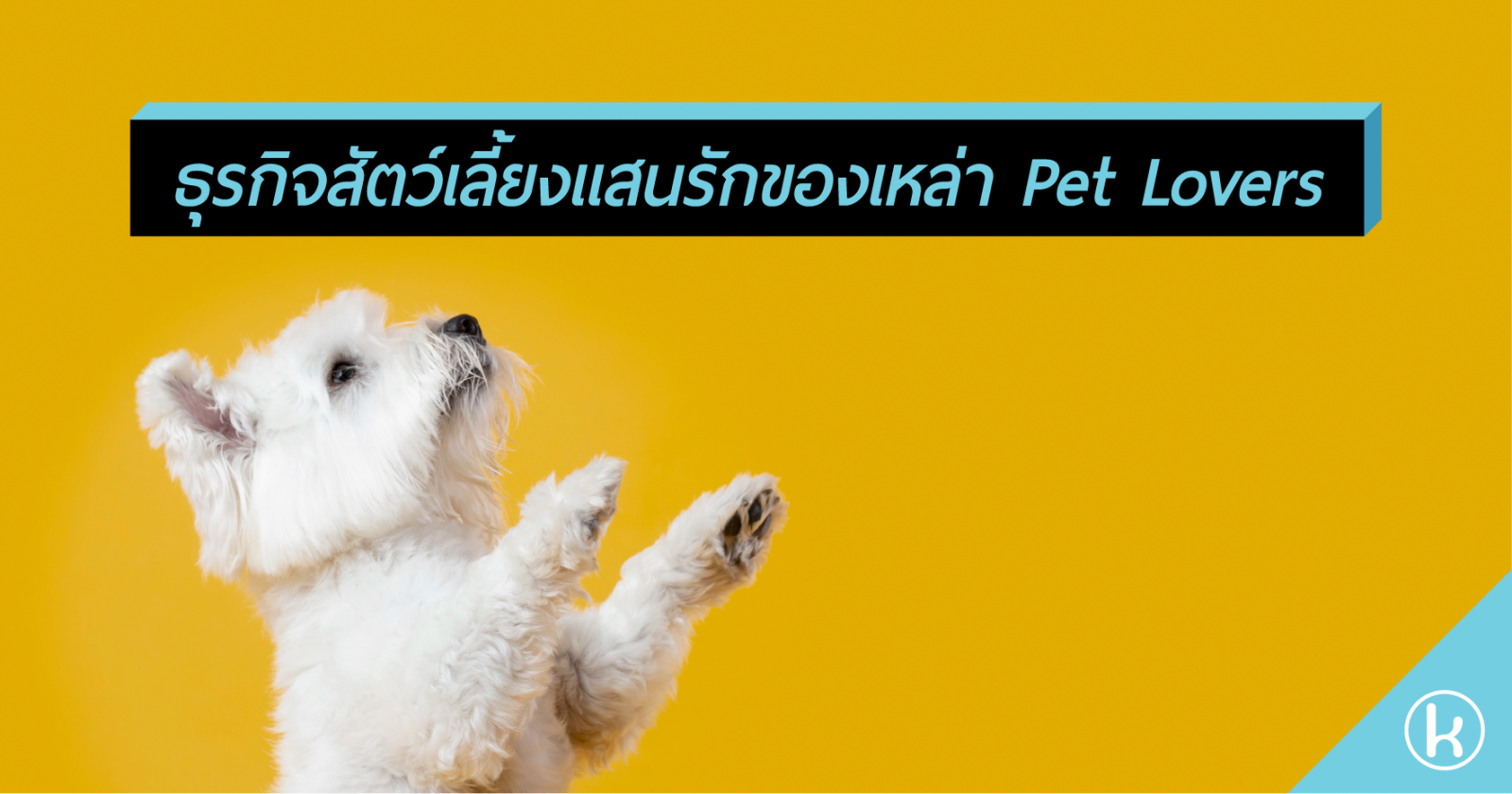 ธุรกิจสัตว์เลี้ยงแสนรักของเหล่า Pet Lovers