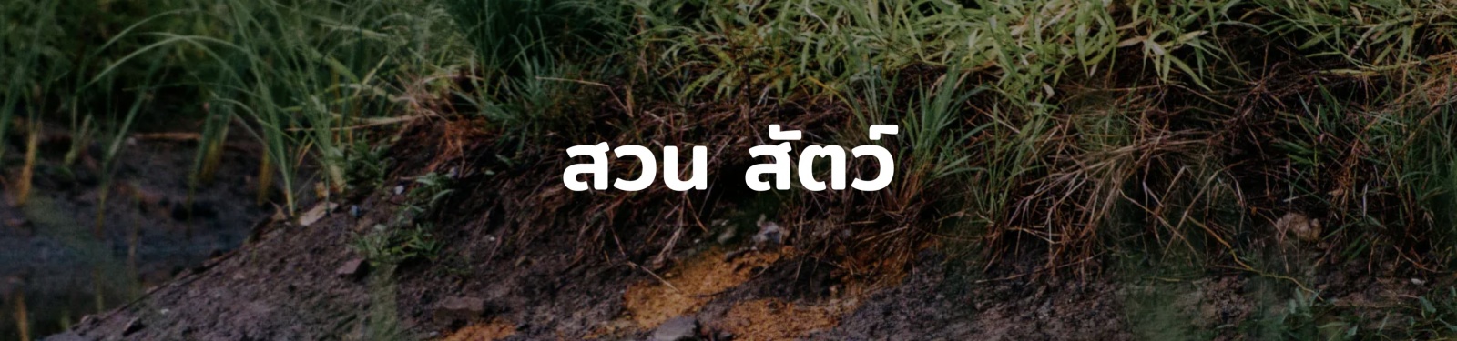 Earth Appreciation 07 : สวน สัตว์