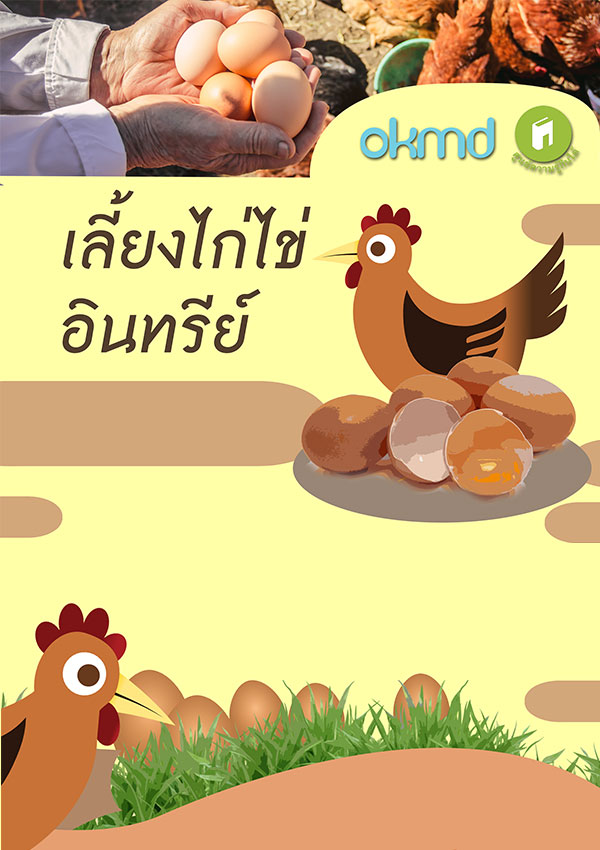 การเลี้ยงไก่ไข่ อินทรีย์