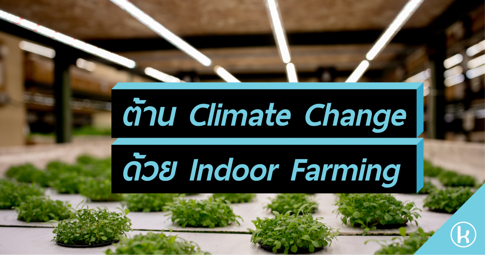 ต้าน Climate Change ด้วย Indoor Farming 