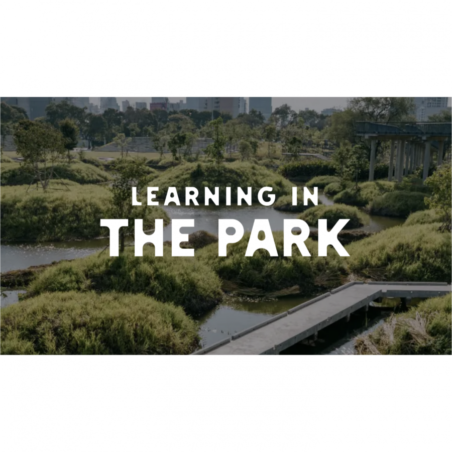 Earth Appreciation 05 : Learning in The Park