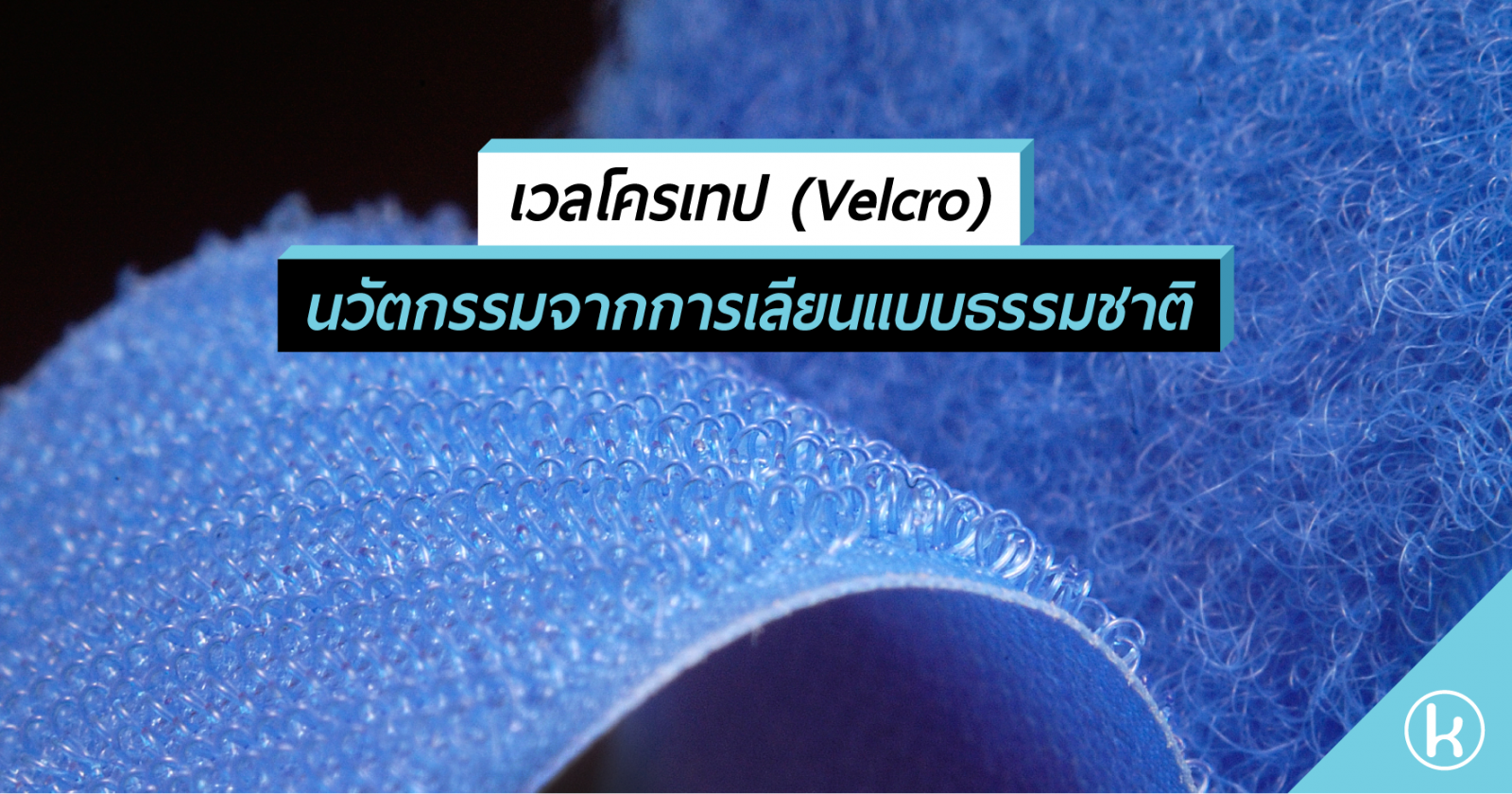 เวลโครเทป (Velcro) นวัตกรรมจากการเลียนแบบธรรมชาติ
