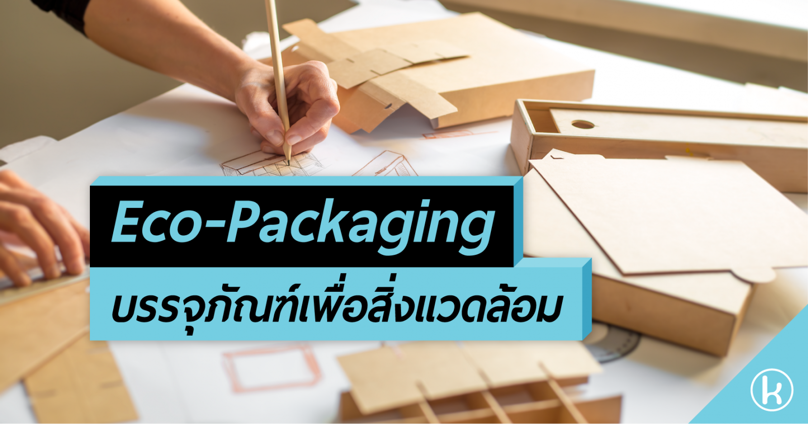 Eco-Packaging: บรรจุภัณฑ์เพื่อสิ่งแวดล้อม