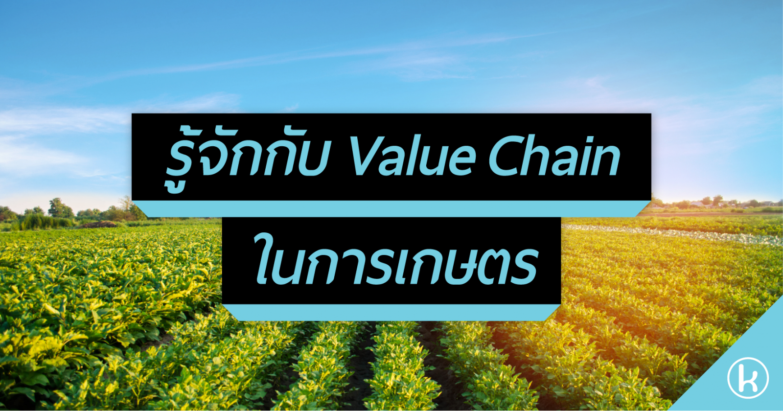 รู้จักกับ Value Chain ในการเกษตร 