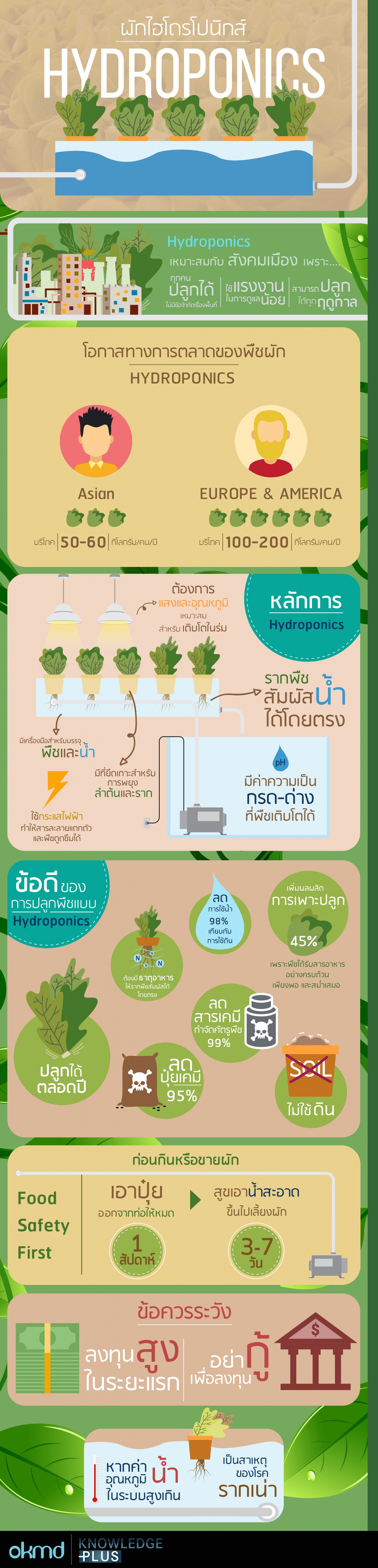 ผักไฮโดรโปนิกส์