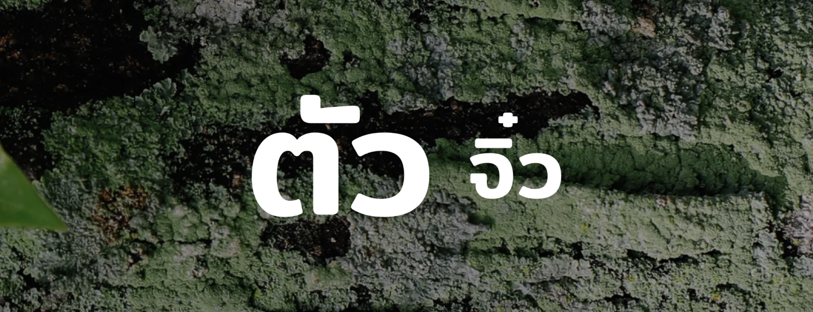 Earth Appreciation 09 : ตัวจิ๋ว Earth Appreciation 09 : ตัวจิ๋ว